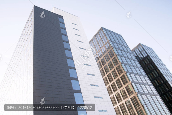 高大的辦公樓