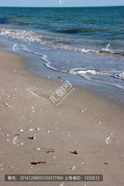 海灘的海岸線