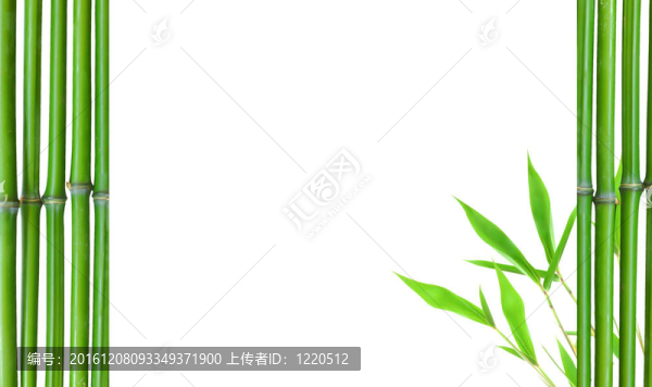 綠色小竹緣