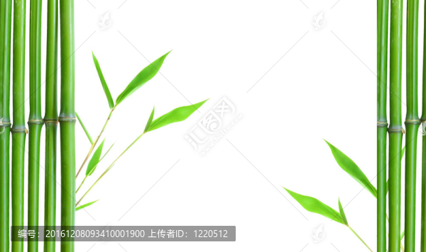 綠色小竹緣