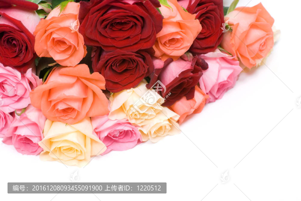五顏六色的花束
