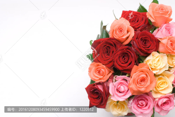 五顏六色的花束
