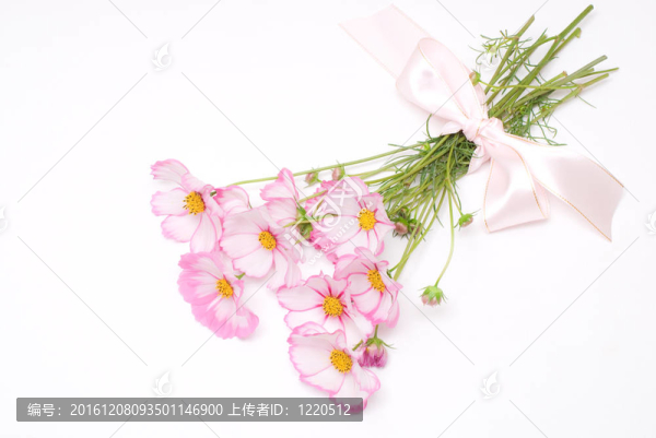 粉紅花束