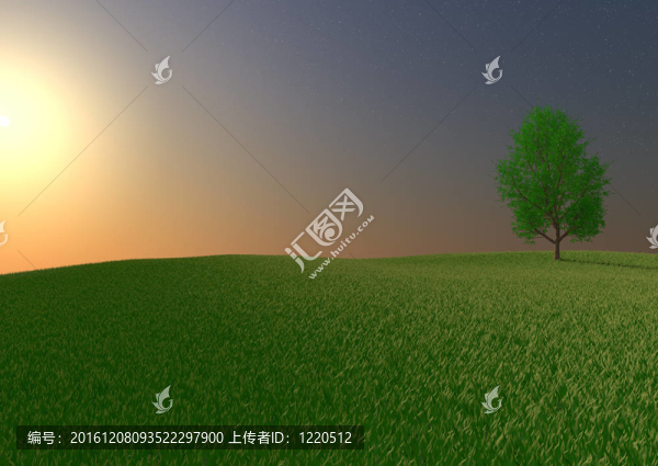 孤獨(dú)的樹