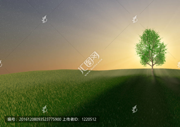 孤獨(dú)的樹