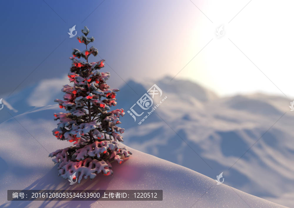 圣誕節(jié)場景