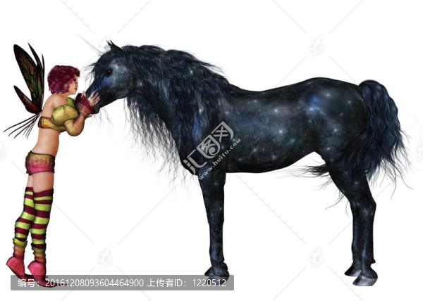 黑色的獨(dú)角獸
