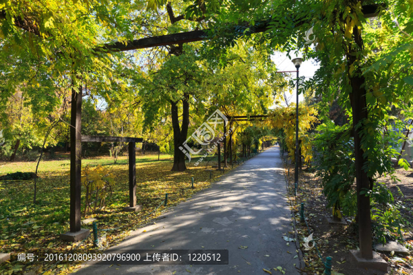 在公園里散步