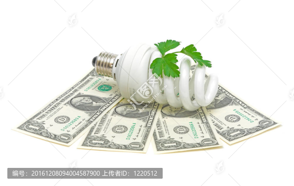 節(jié)能燈泡和金錢和綠色植物