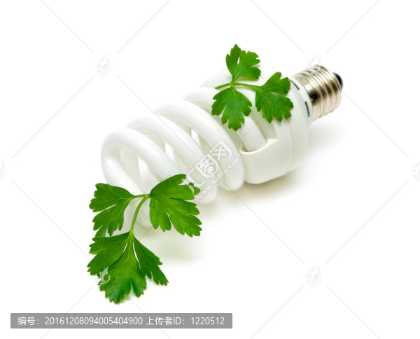 綠色植物熒光節(jié)能燈泡