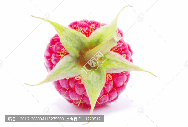 覆盆子