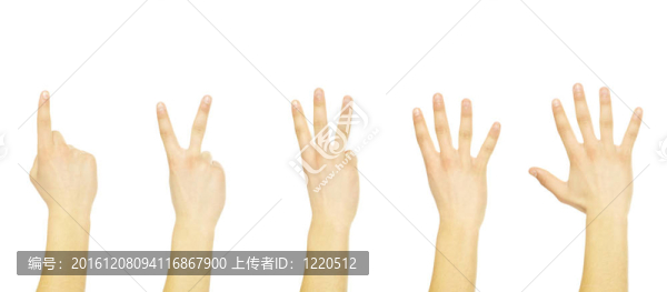 手