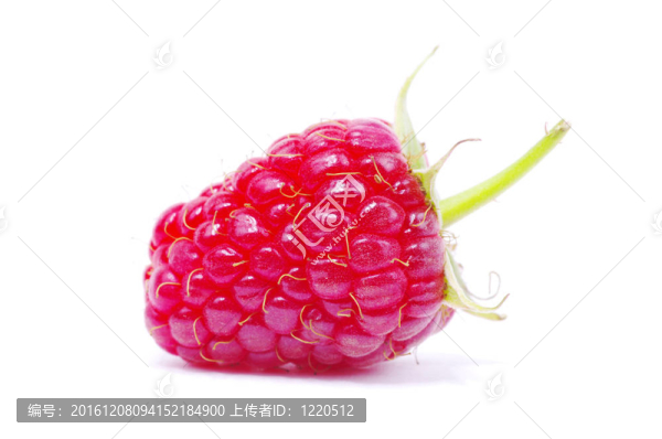 覆盆子