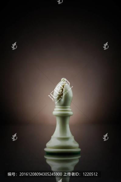 國際象棋主教