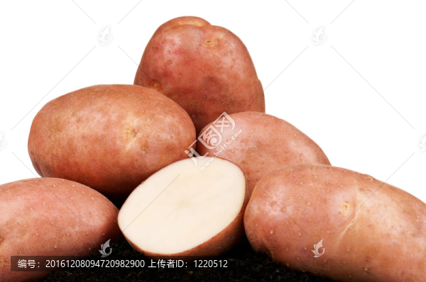 土豆