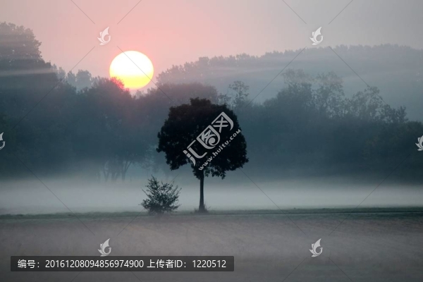 早上hour_img_0890.jpg