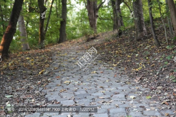 的way_img_0879_fil.jpg