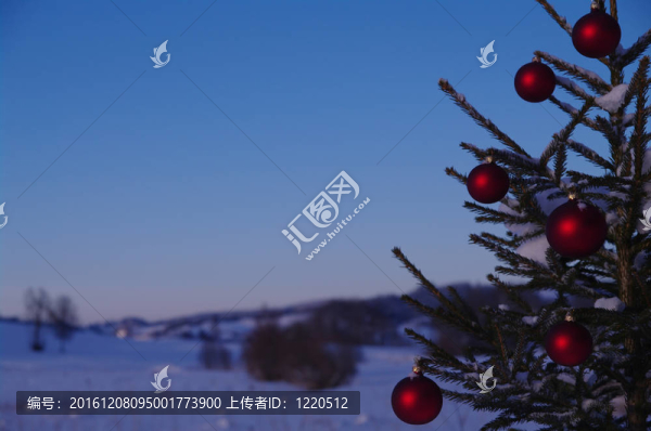 圣誕節(jié)