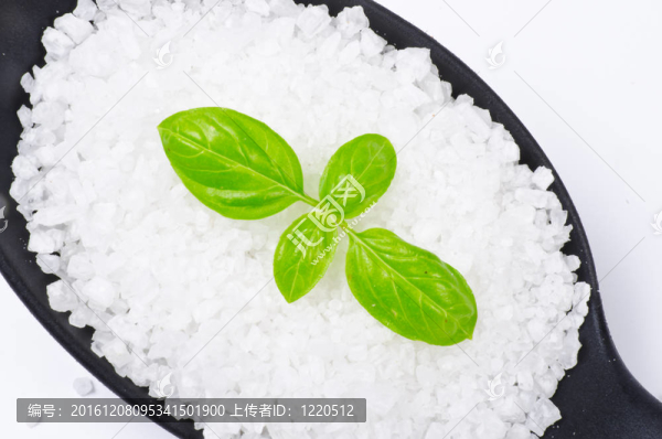 大致與羅勒鹽喀拉哈里沙漠