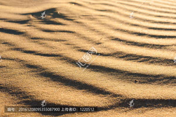 波狀沙丘紋理