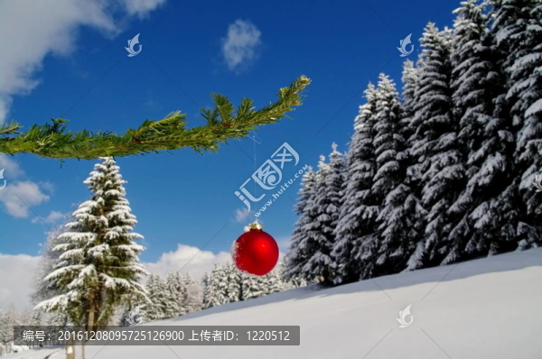 圣誕節(jié)