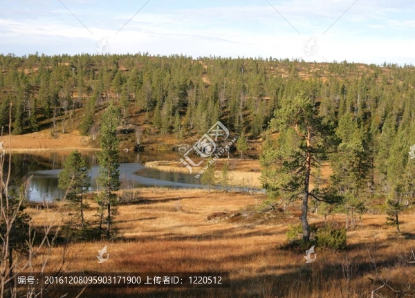 在一個鄉(xiāng)村景觀Tarn