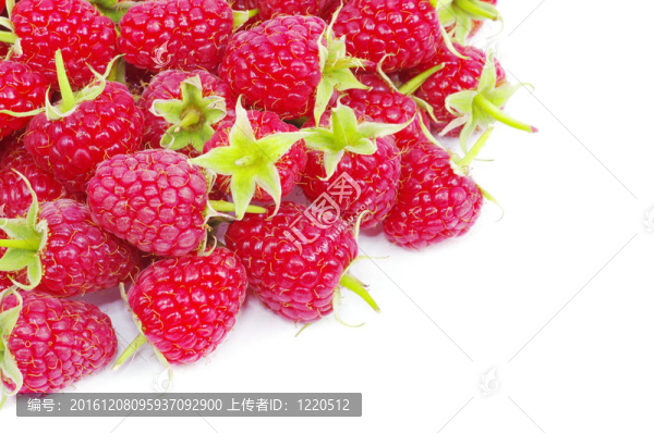 覆盆子