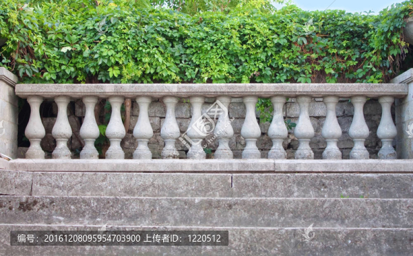 古老的樓梯和常春藤柱