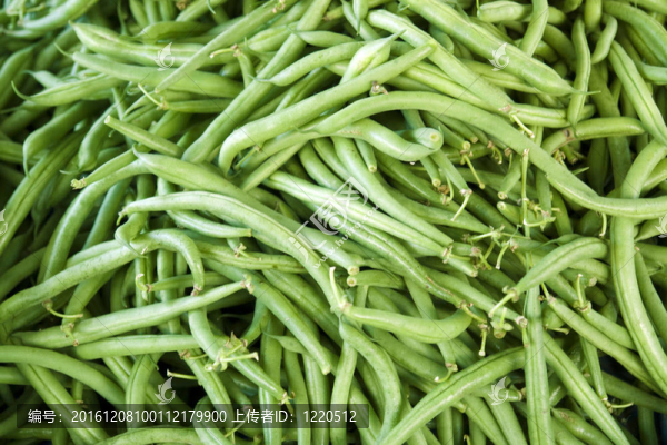 鮮綠色菜豆
