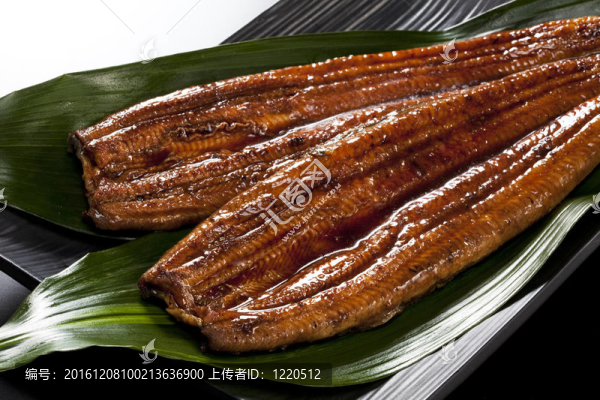 鰻魚（鰻魚）