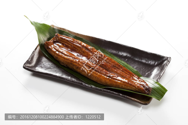 鰻魚（鰻魚）