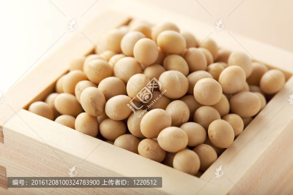 大豆