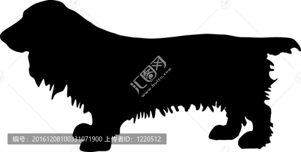 田野獵犬剪影