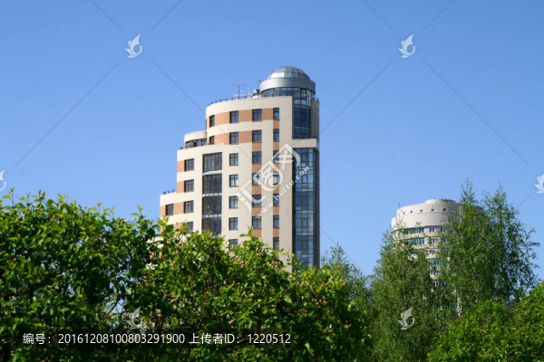 灌木和建筑