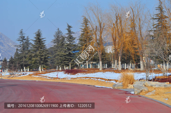 道路