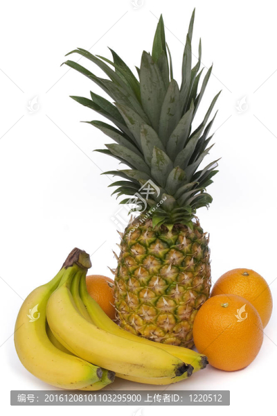 菠蘿