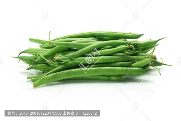 四季豆