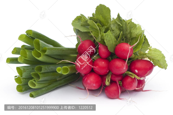 小蘿卜