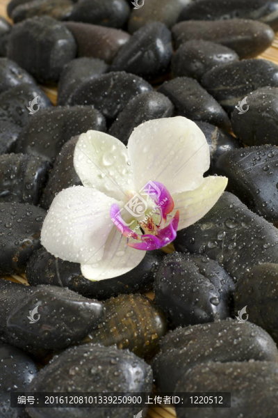 芳香療法