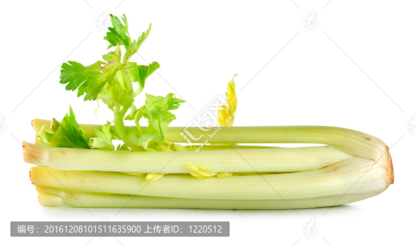 芹菜