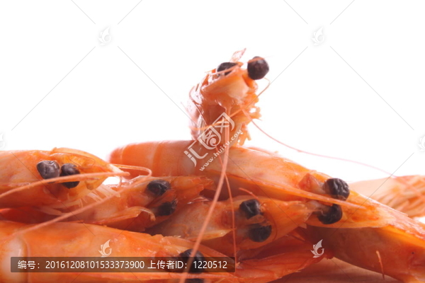煮蝦