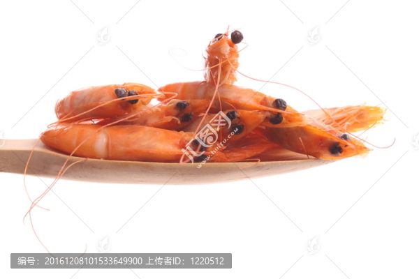 木勺蝦
