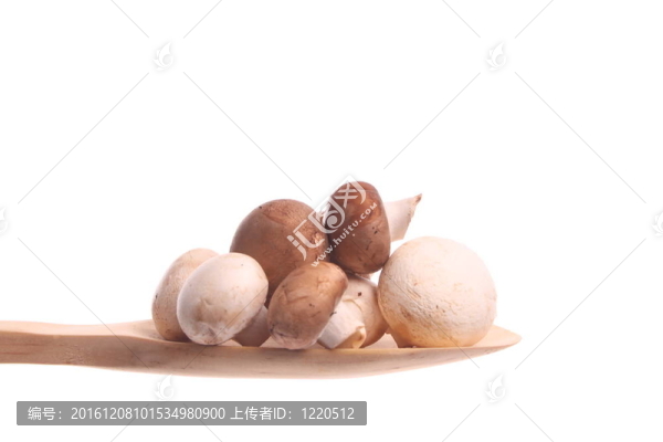 木制蘑菇