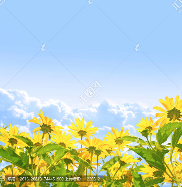 花