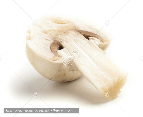 單菇