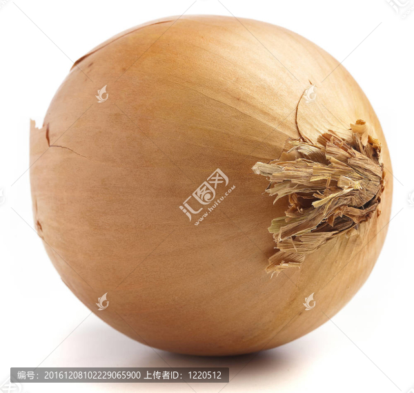 成熟的洋蔥