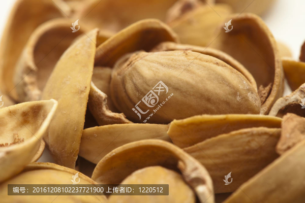 開心果的殼