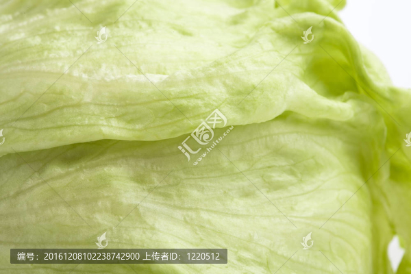 生菜