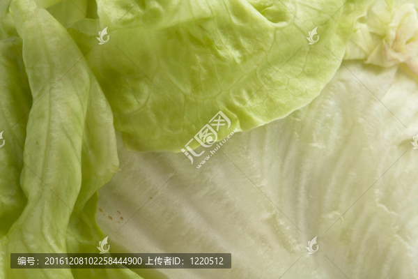 生菜