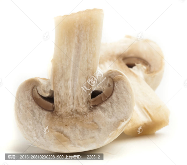 蘑菇片